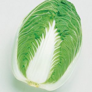 Hacusai