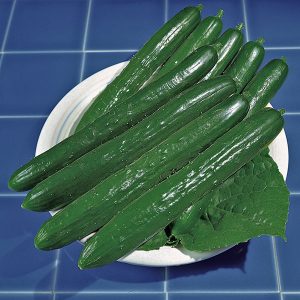 Pepino