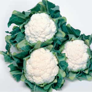Coliflor